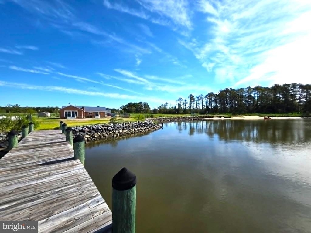 22931 Steele Drive - Photo 48
