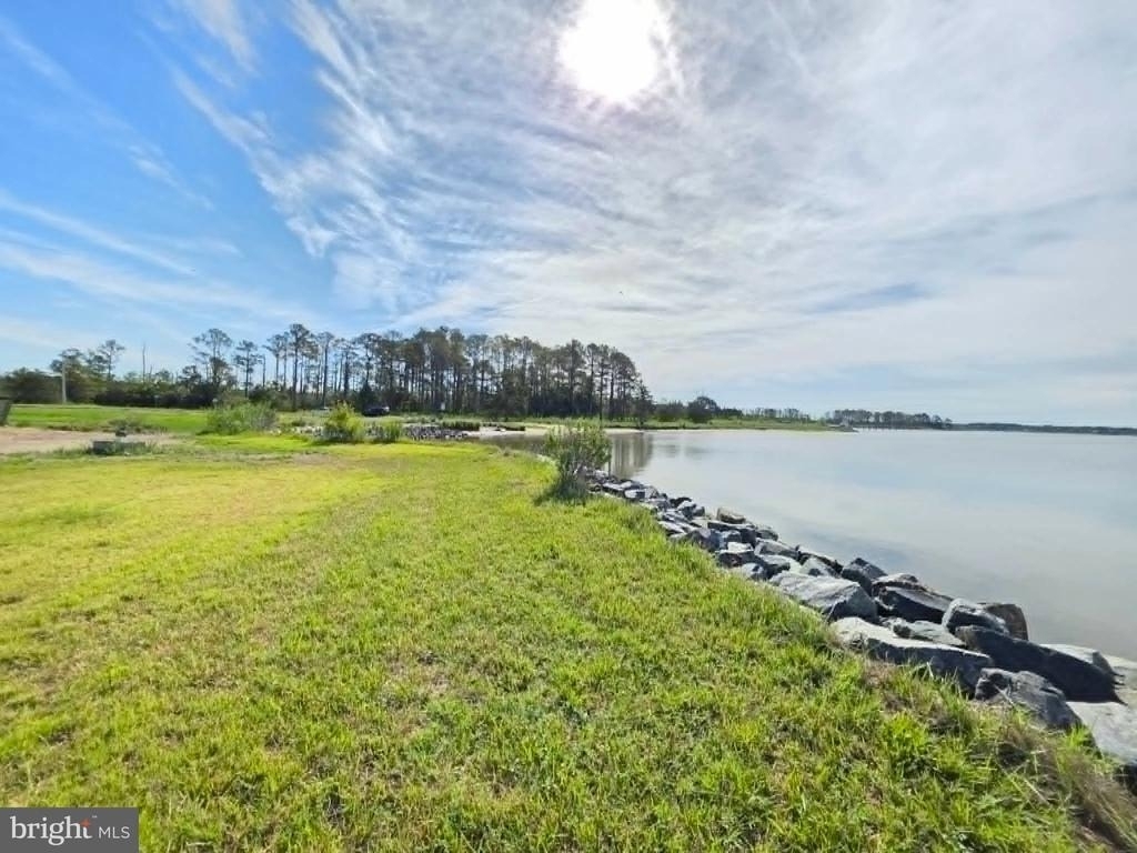 22931 Steele Drive - Photo 64