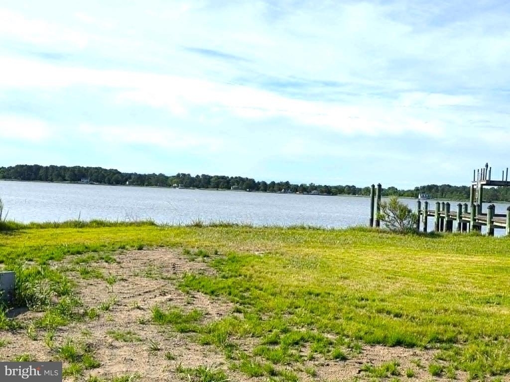 22931 Steele Drive - Photo 52