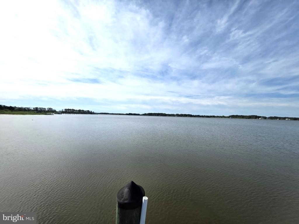 22931 Steele Drive - Photo 62