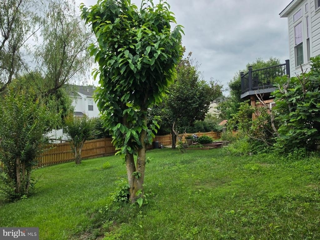 17204 Sumac Court - Photo 46
