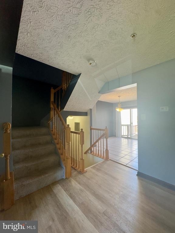 537 Macintosh Circle - Photo 3