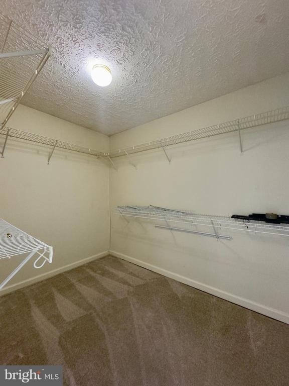 537 Macintosh Circle - Photo 23