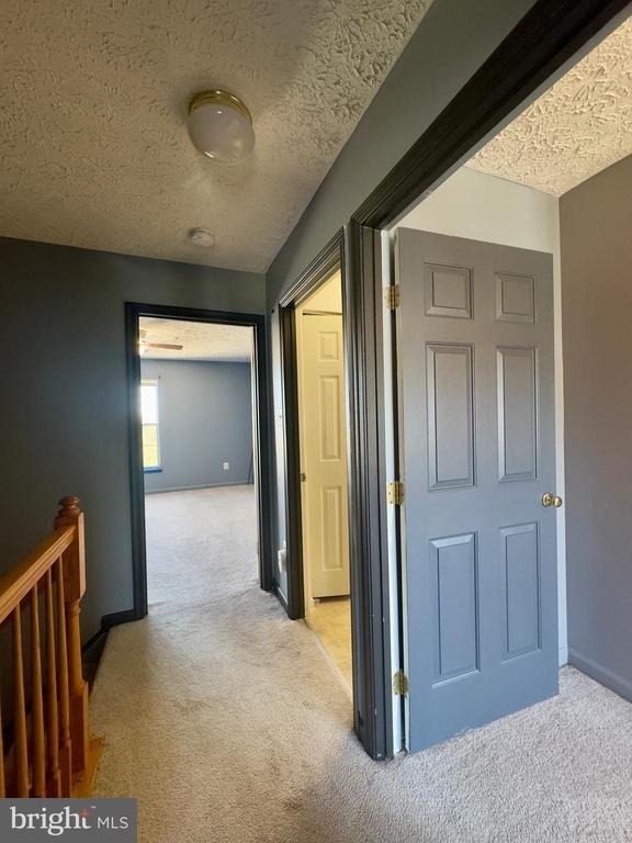 537 Macintosh Circle - Photo 21