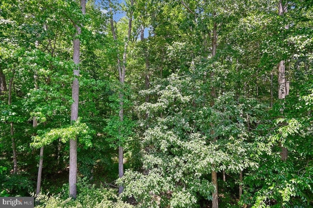 441 Penwood Drive - Photo 21