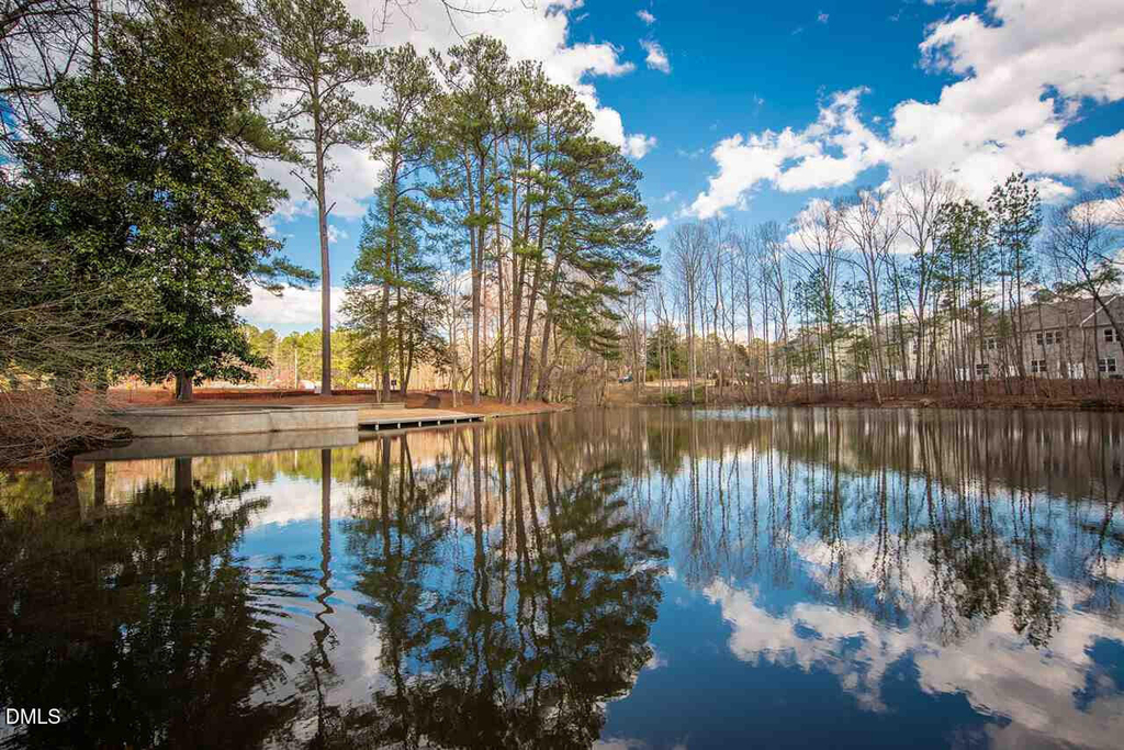 3608 Water Mist Lane - Photo 1