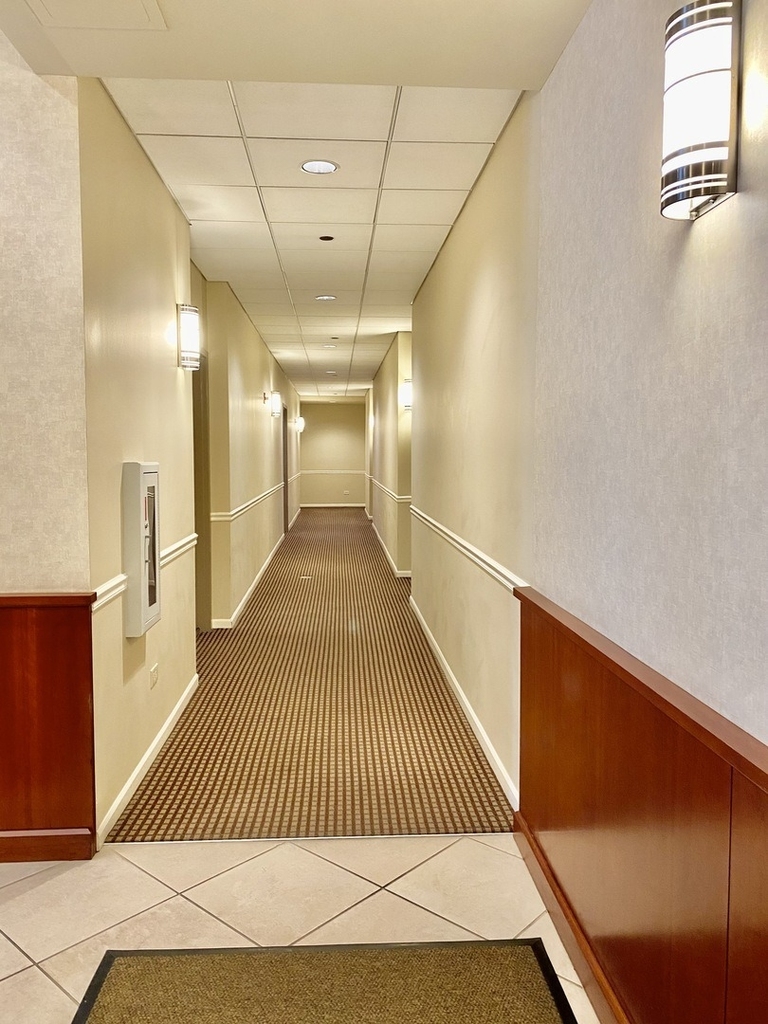 1250 S Indiana Avenue - Photo 28
