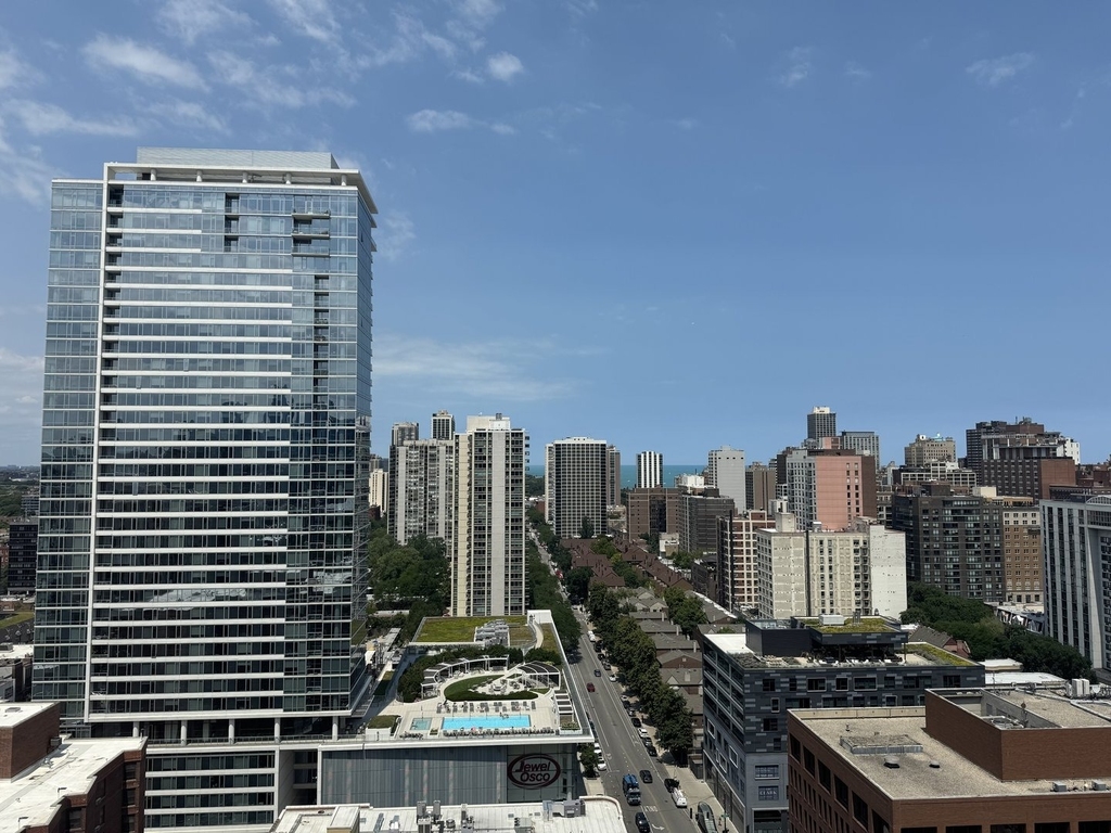 1122 N Clark Street - Photo 2