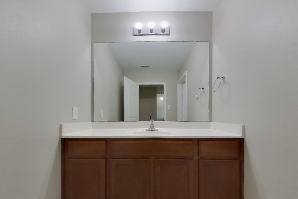 421 Palomino Stand Drive - Photo 12
