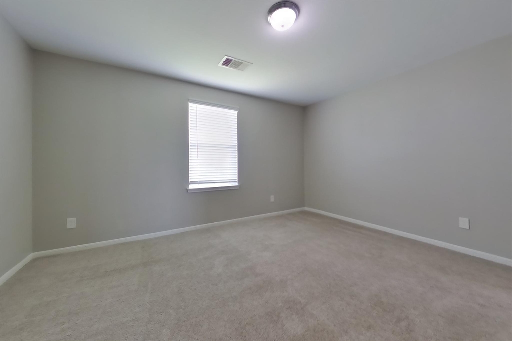 421 Palomino Stand Drive - Photo 11