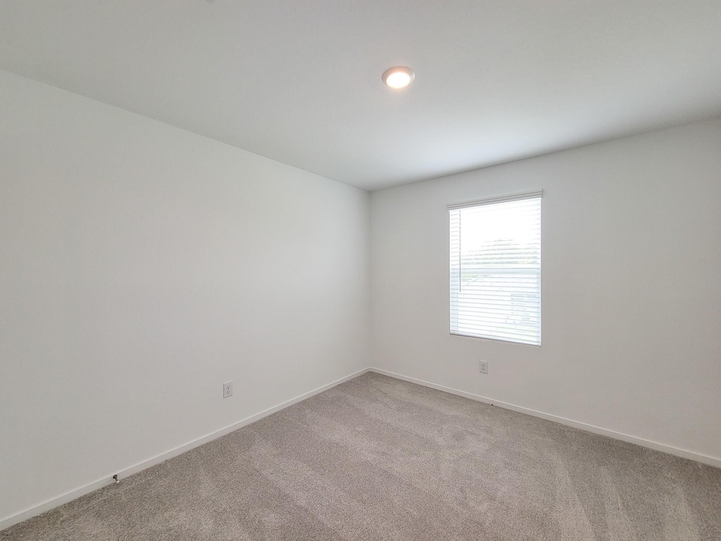 25588 Rose Creek Drive - Photo 19