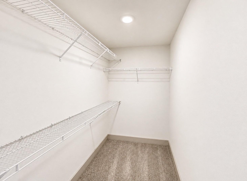 2222 Smith Street - Photo 12