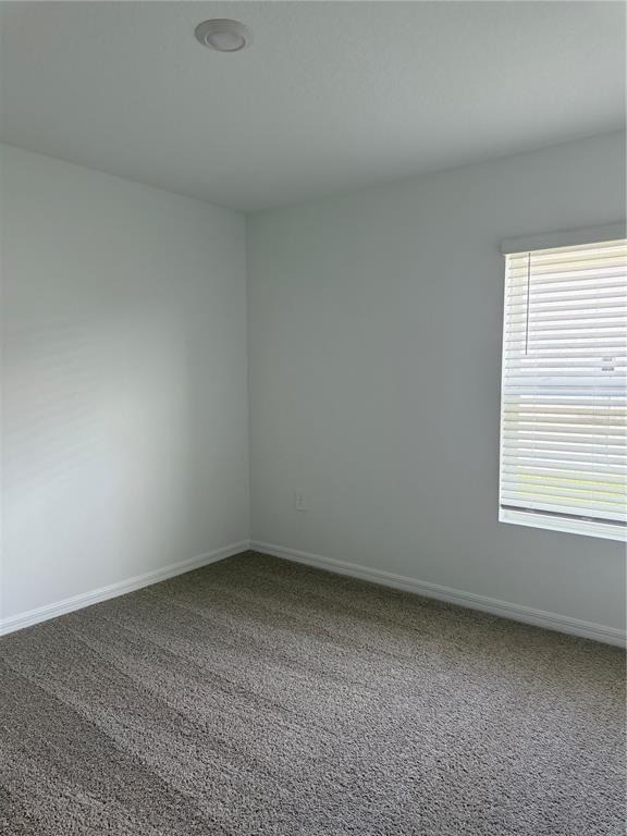 1723 Grandiose Drive - Photo 10