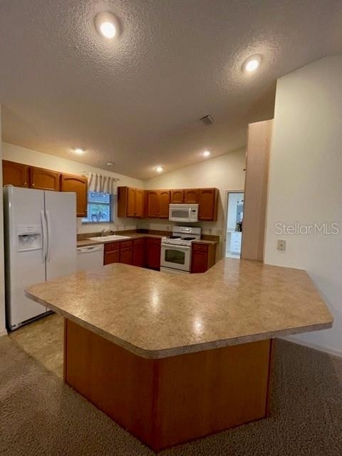 1704 Lisette Way - Photo 9