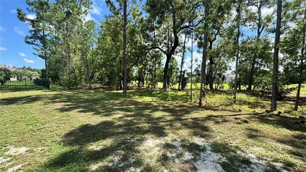 259 Hickory Course Radial - Photo 5