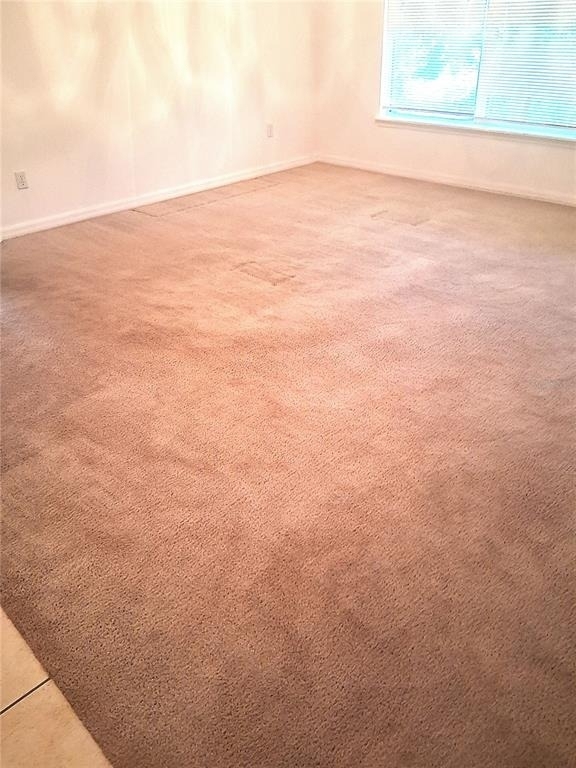 771 Mountain Ash - Photo 5