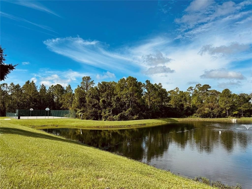 449 Bay Leaf Drive - Photo 18