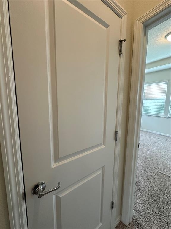 527 Piazza Point - Photo 52