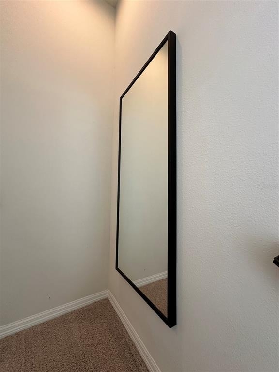 527 Piazza Point - Photo 55