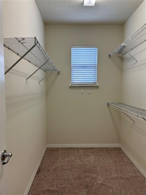 527 Piazza Point - Photo 43