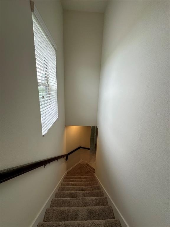 527 Piazza Point - Photo 56