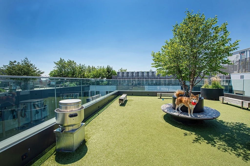 54 Noll Street - Photo 11