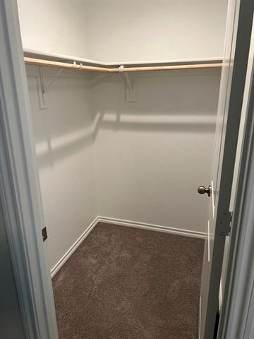 932 Crockett Street - Photo 11