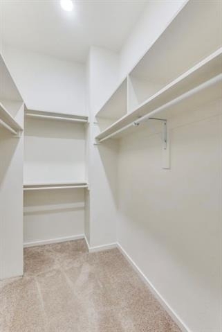 3812 San Jacinto Street - Photo 11