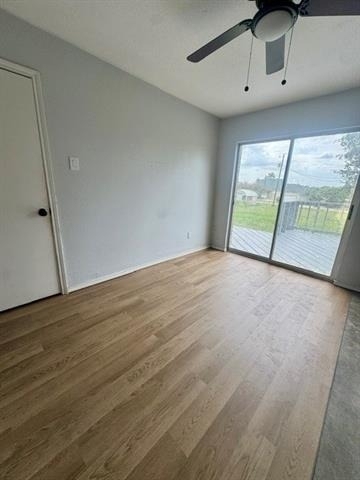 9850 Kathy Lynn Place - Photo 13