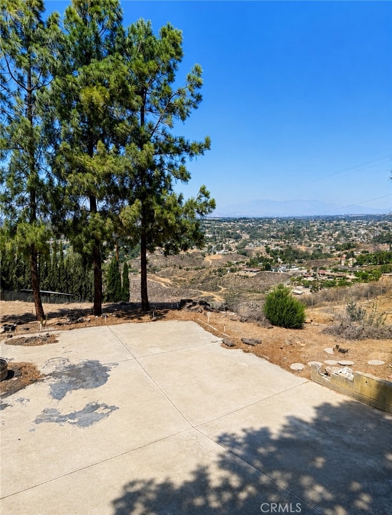 17301 Palm - Photo 8