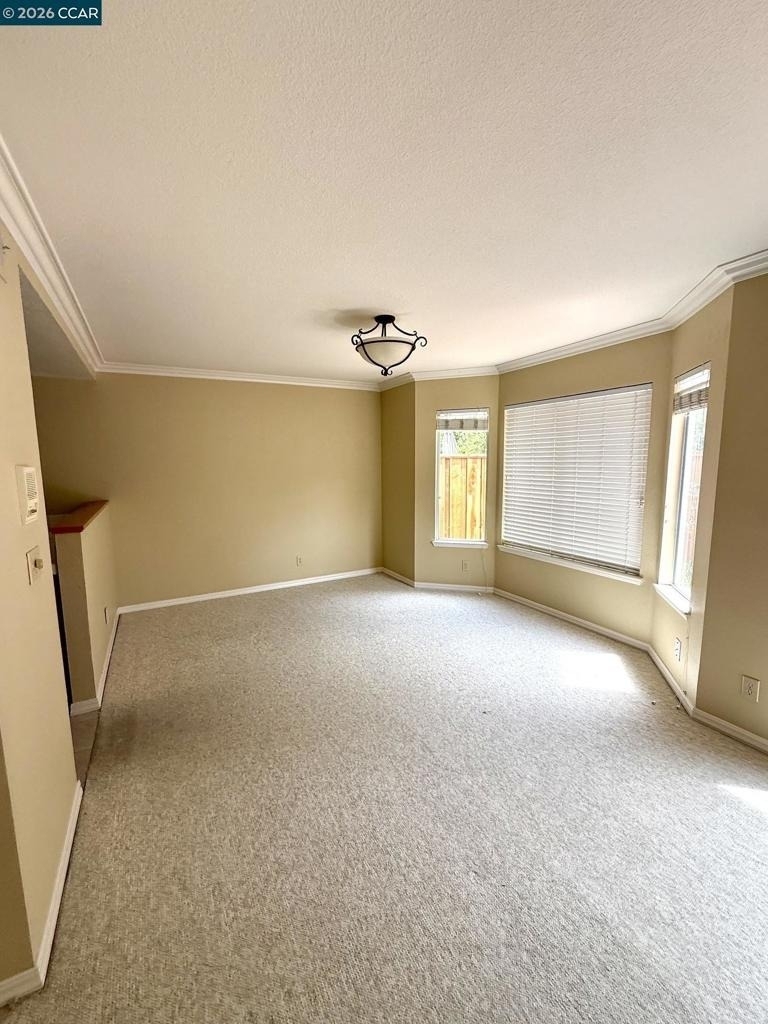 365 Bellflower Dr - Photo 14