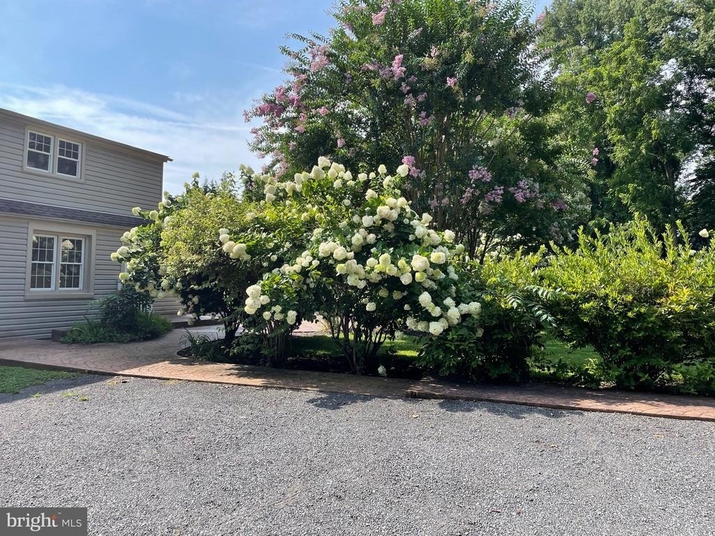 636 Walker Road - Photo 9