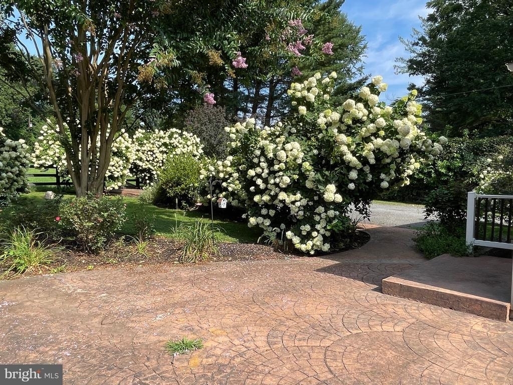 636 Walker Road - Photo 3