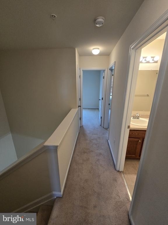 11703 Palm Desert Place - Photo 17