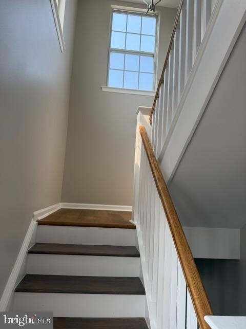 319 Paradee Drive - Photo 5