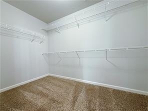 715 Mimosa Way - Photo 20