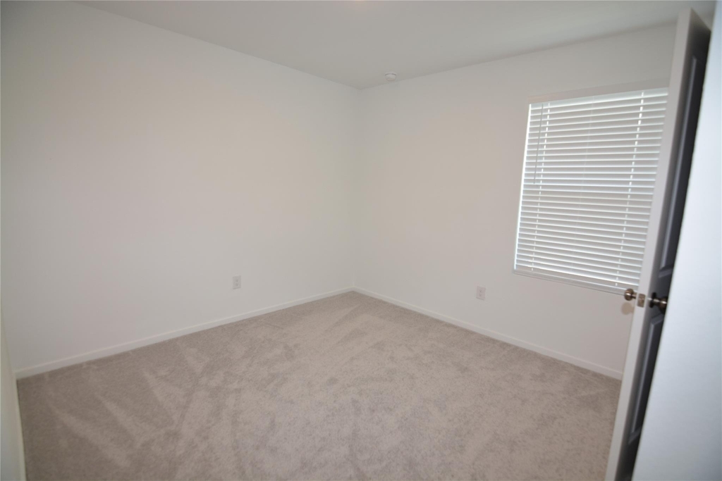 26926 Dalmatian Bellflower Drive - Photo 10