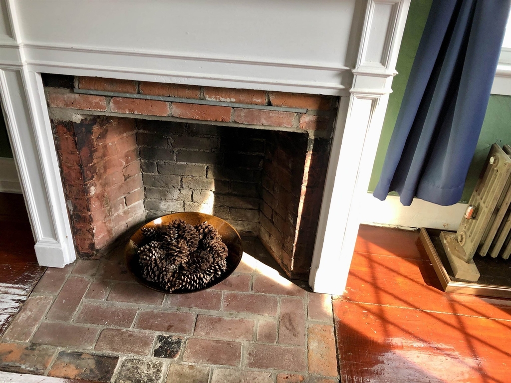 44 Butternut - Photo 19