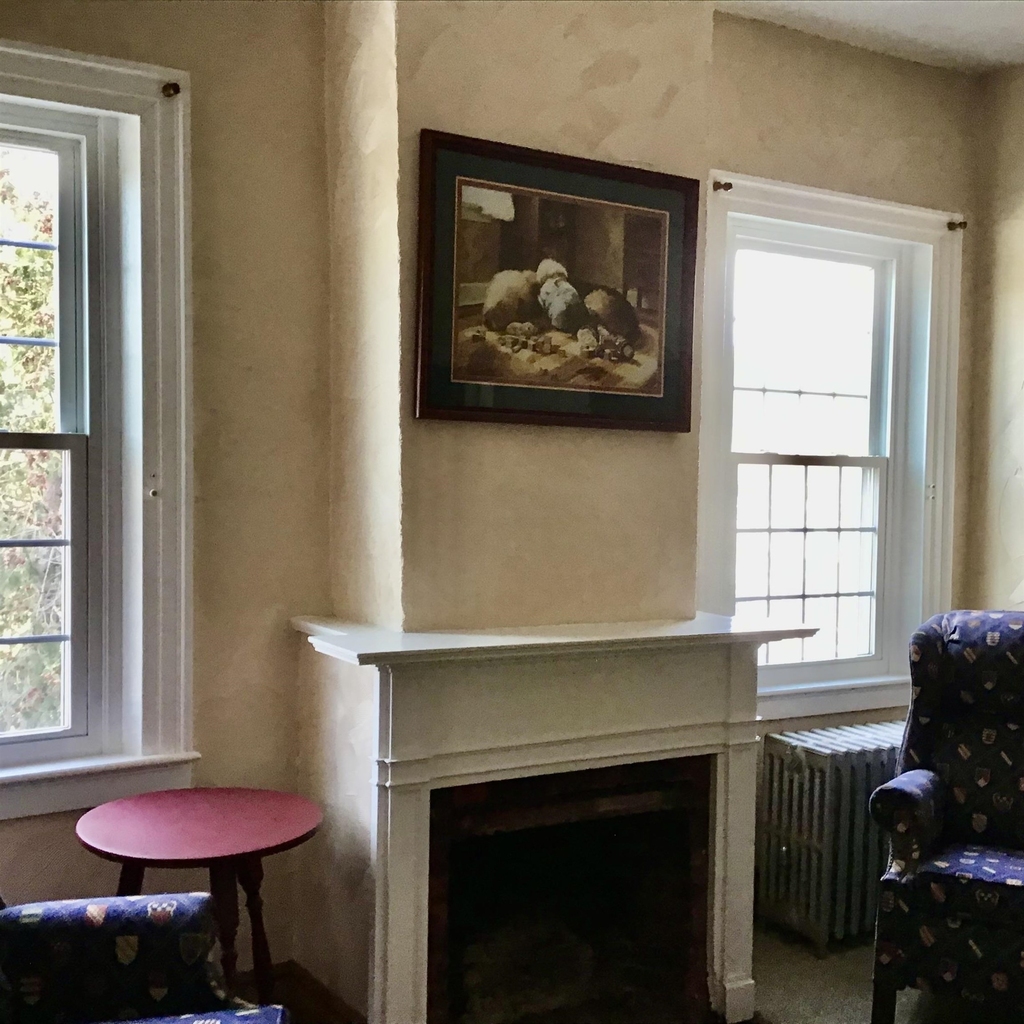44 Butternut - Photo 11