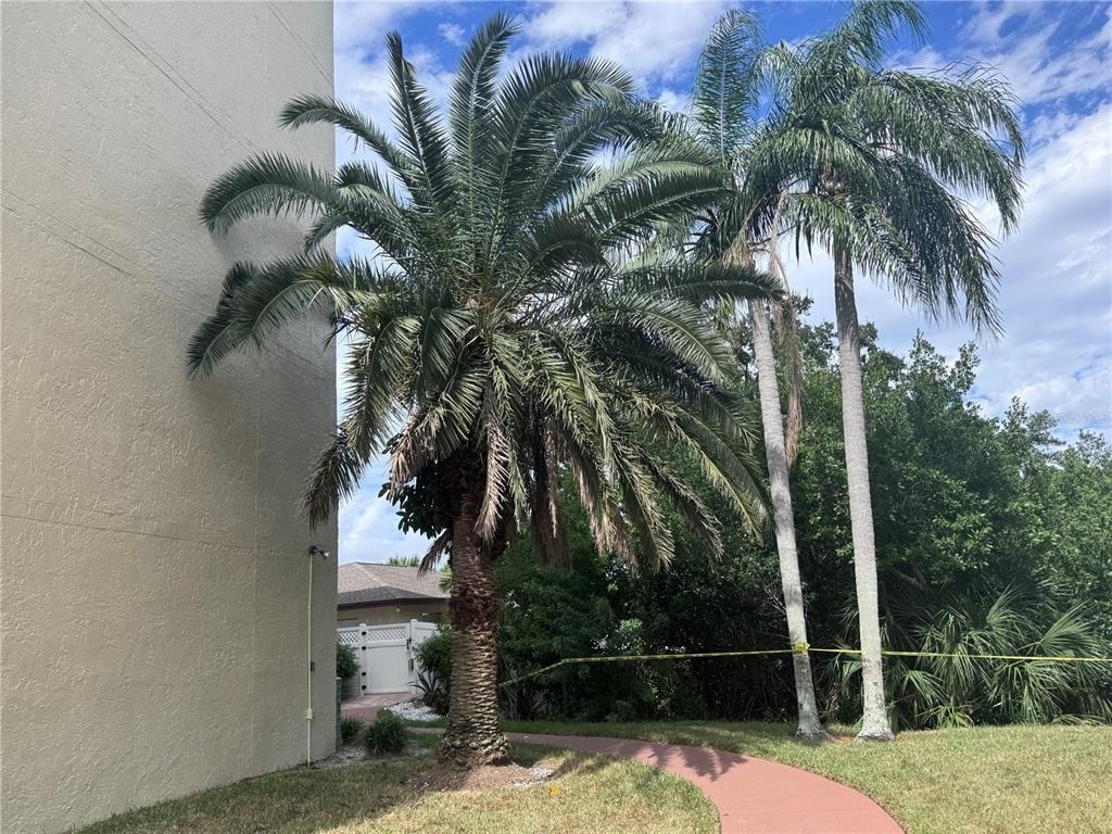 800 Cove Cay Drive - Photo 33