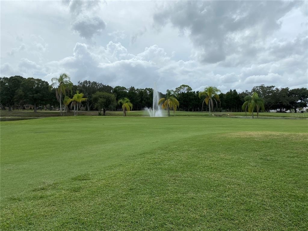 800 Cove Cay Drive - Photo 28