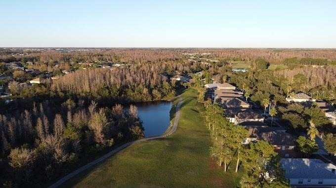 19146 Cypress Green Drive - Photo 43