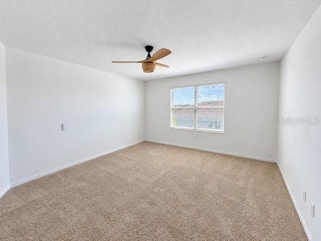 2436 Blowing Breeze Avenue - Photo 12