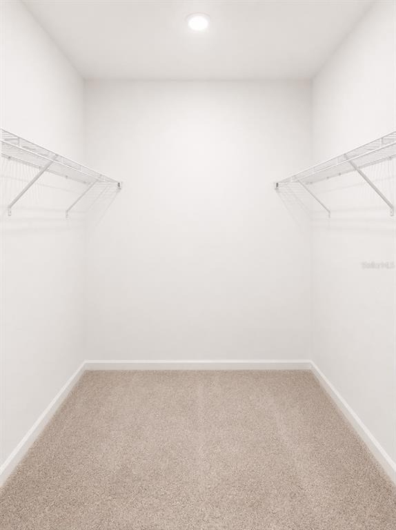 5677 Liveliness Alley - Photo 12