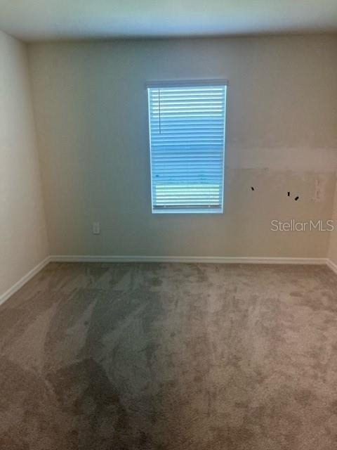 25118 Doredo Drive - Photo 12
