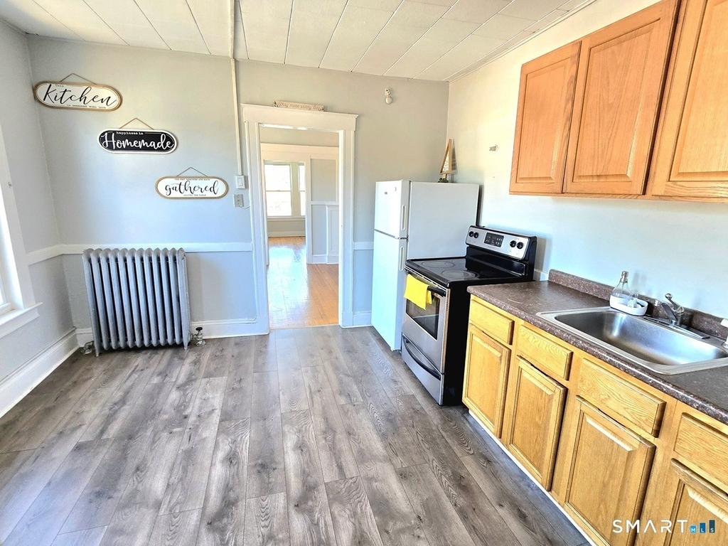 233 White Street - Photo 2