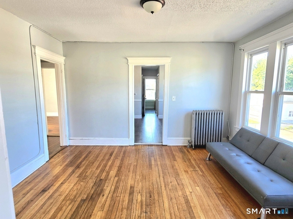233 White Street - Photo 5