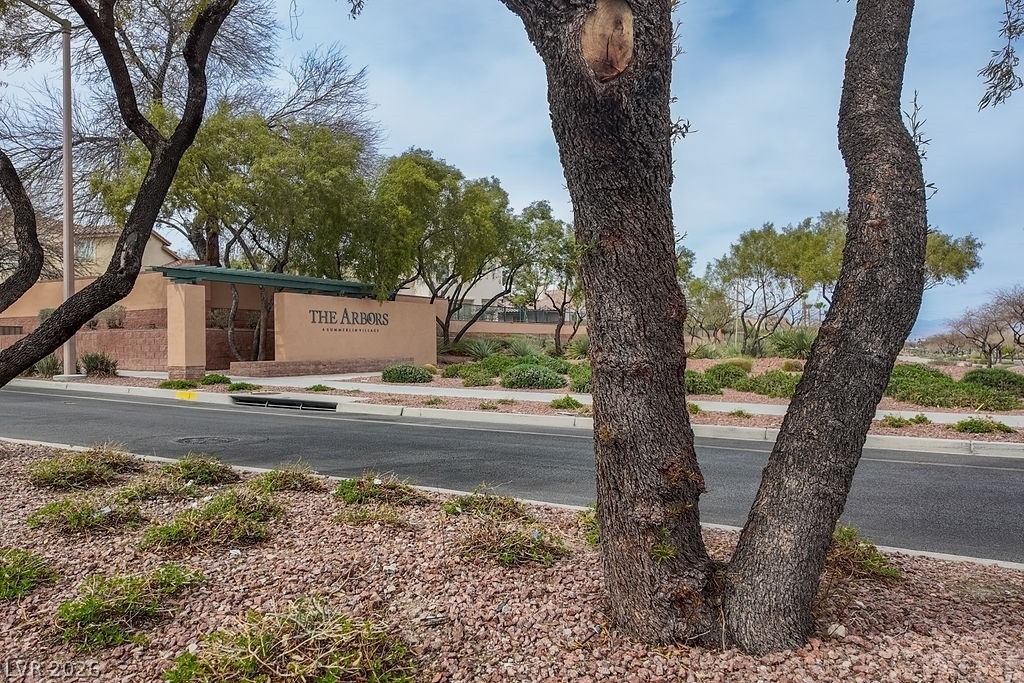 10513 Shanna Trellis Avenue - Photo 40