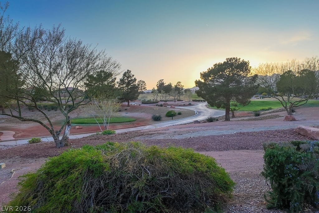 10513 Shanna Trellis Avenue - Photo 47