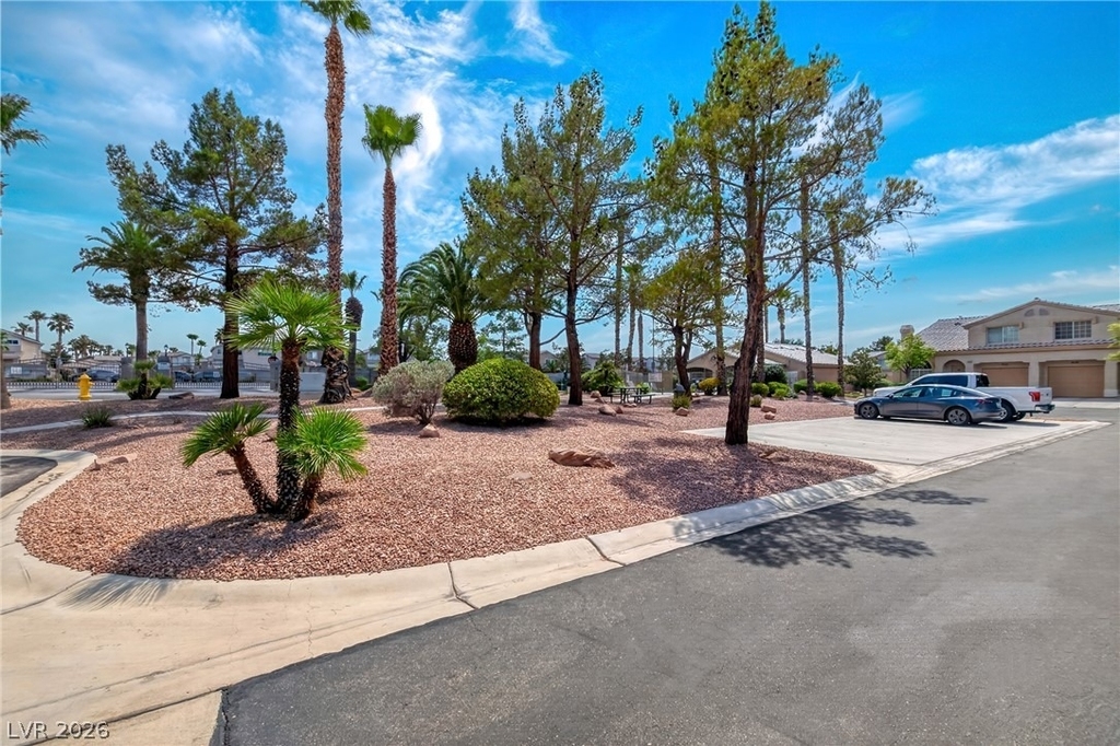 9631 Lame Horse Drive - Photo 20